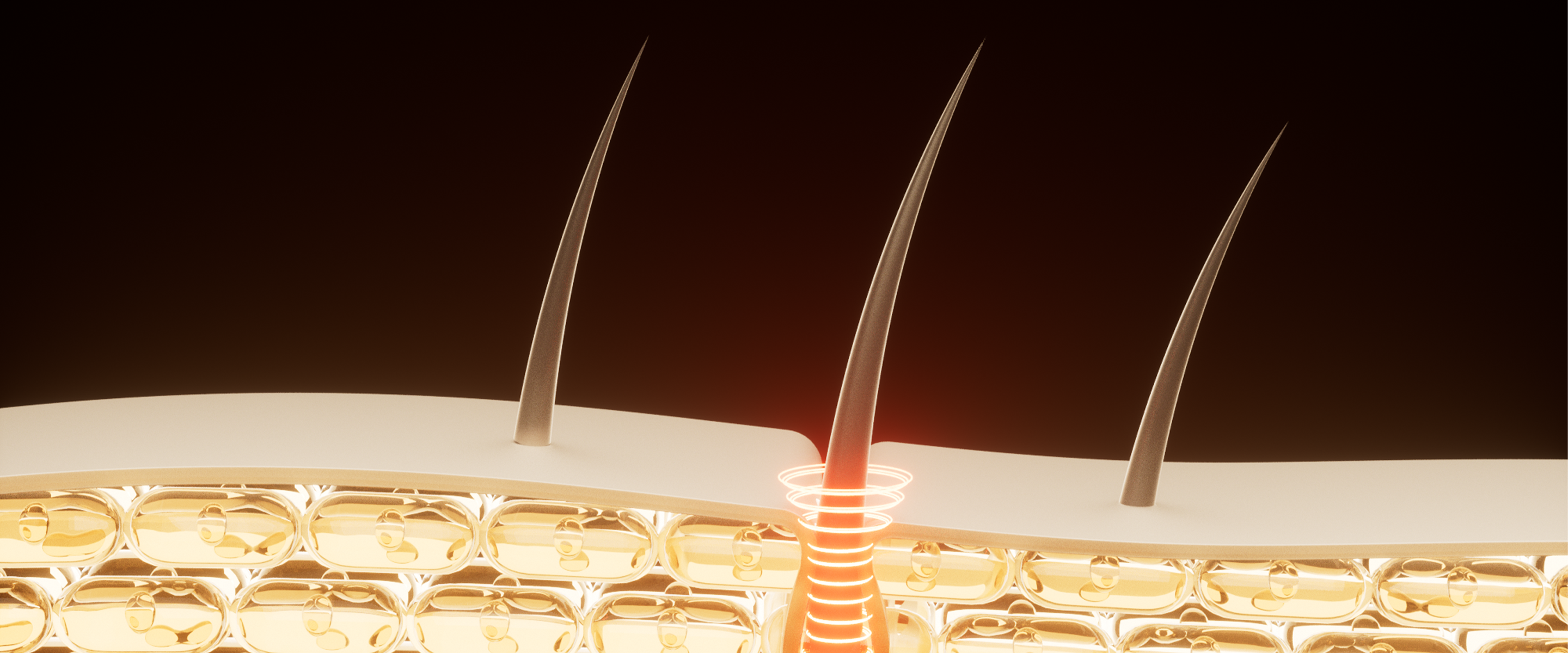 SLIMAX-BANNER.png